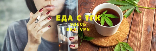 хмурый Аркадак