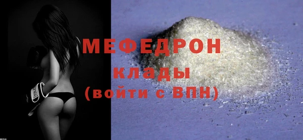 хмурый Аркадак