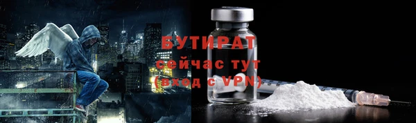хмурый Аркадак