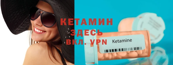 хмурый Аркадак