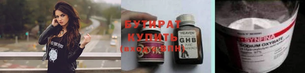 хмурый Аркадак