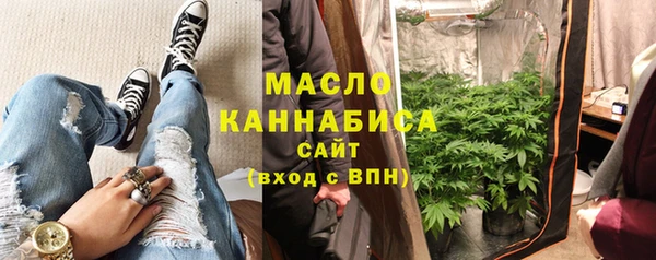 хмурый Аркадак