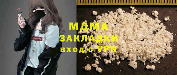 хмурый Аркадак