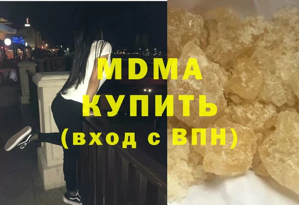 хмурый Аркадак