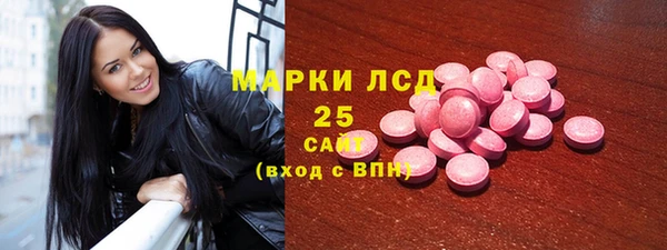 хмурый Аркадак