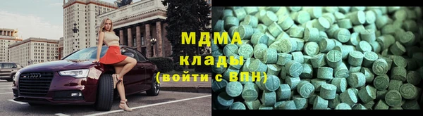 хмурый Аркадак