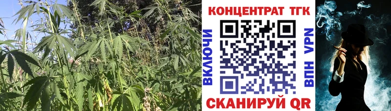 ОМГ ОМГ рабочий сайт Циолковский ТГК THC oil